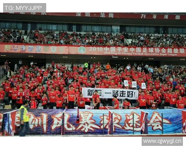 深圳排球队速度之争引发热议球迷与专家各执己见