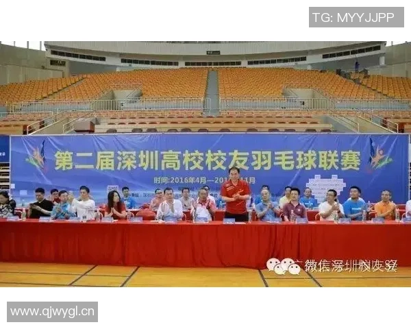 深圳羽毛球队引领最新羽毛球意识TOP10榜单的崛起与发展 深圳羽毛球队引领最新羽毛球意识TOP10榜单的崛起与发展